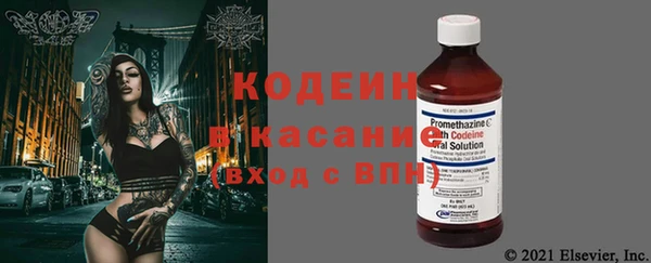 дурь Арсеньев