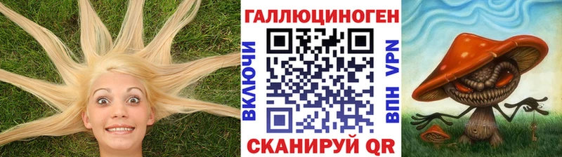 Галлюциногенные грибы Psilocybine cubensis  Купить где  Шебекино 